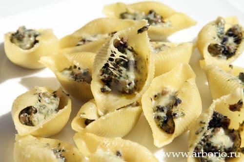 pasta_shells_with_champignons.jpg