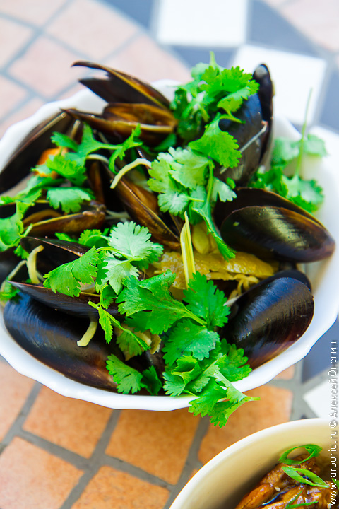 asian mussels 1    