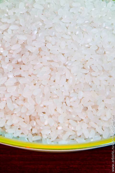 Рис для суши - фото