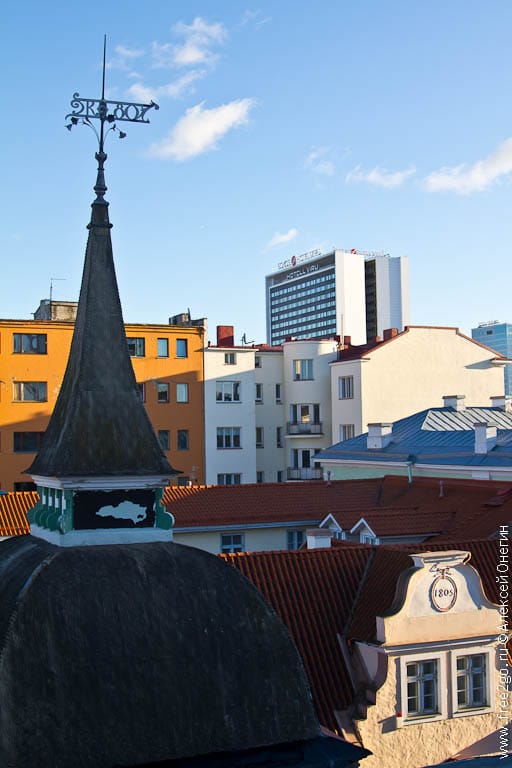 Крыши Таллина - Эстония. фото