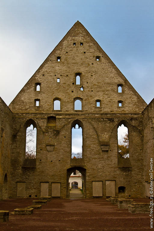 Монастырь святой Биргитты - Таллин, Эстония. фото