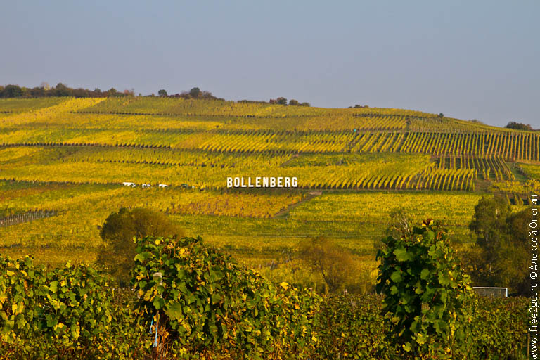 Эльзасская винная дорога - Эльзас, Франция. фото