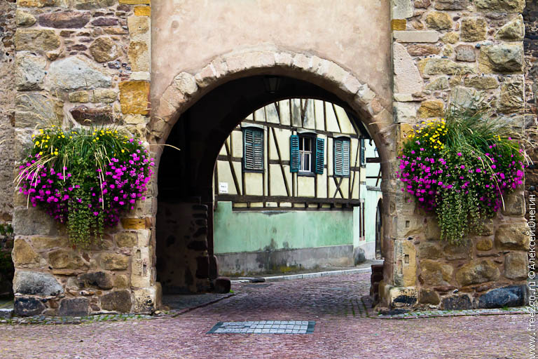 Эльзасская винная дорога - Эльзас, Франция. фото