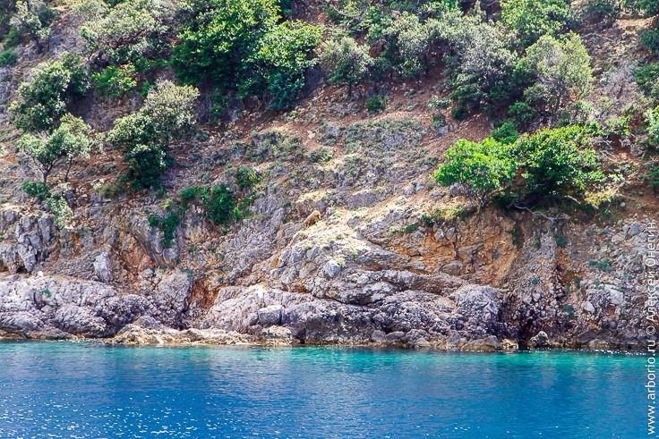 Морская прогулка вокруг острова Крк фото