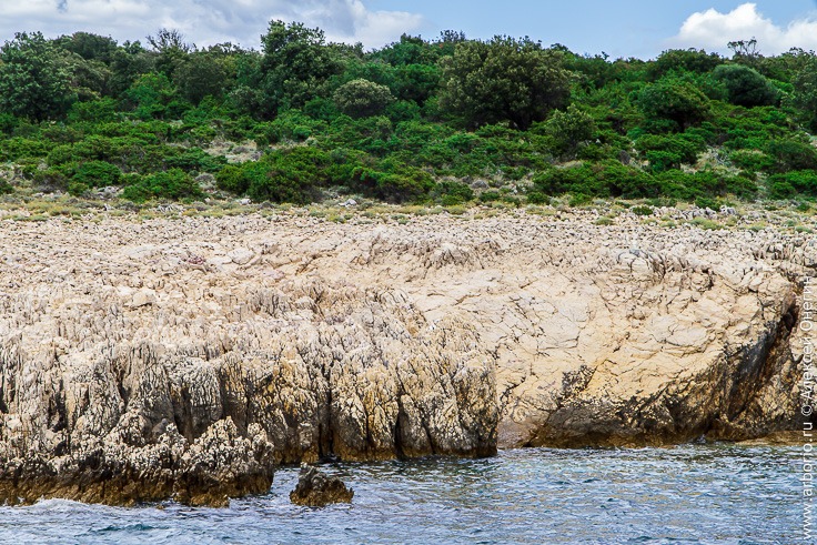 Морская прогулка вокруг острова Крк фото