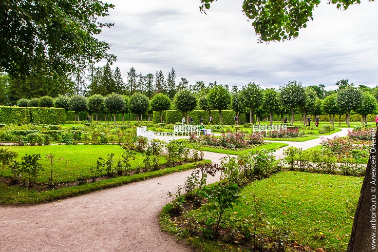 Екатерининский парк в Пушкине фото