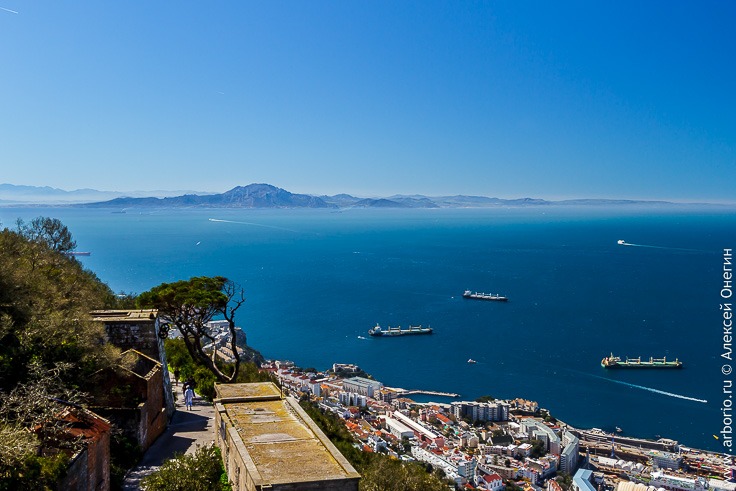 Гибралтар: то ли страна, то ли нет фото