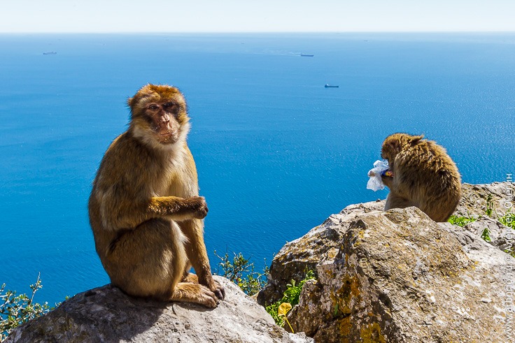 Гибралтар: то ли страна, то ли нет фото