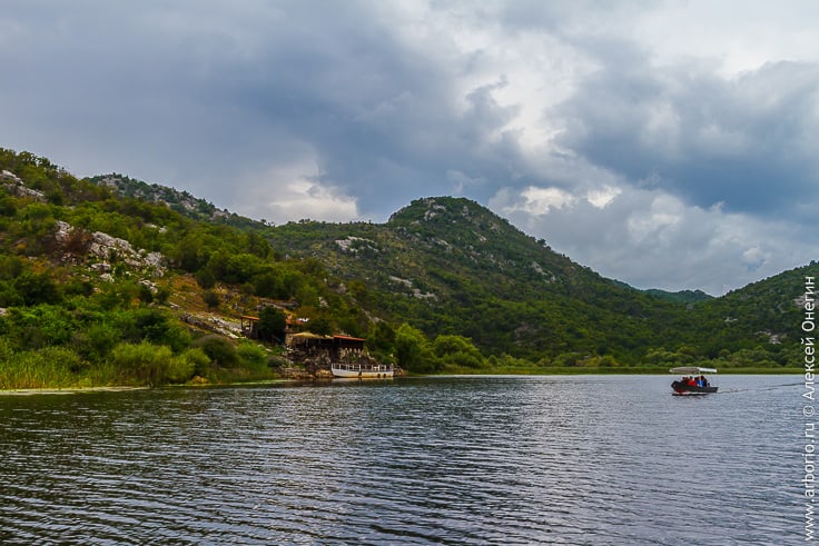 Скадарское озеро фото