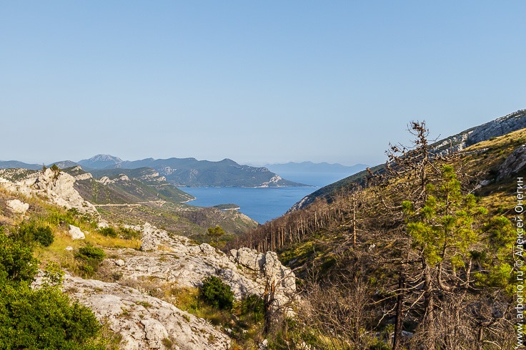 Полуостров Пелешац: куда бежать, если вы все-таки приехали в Дубровник фото
