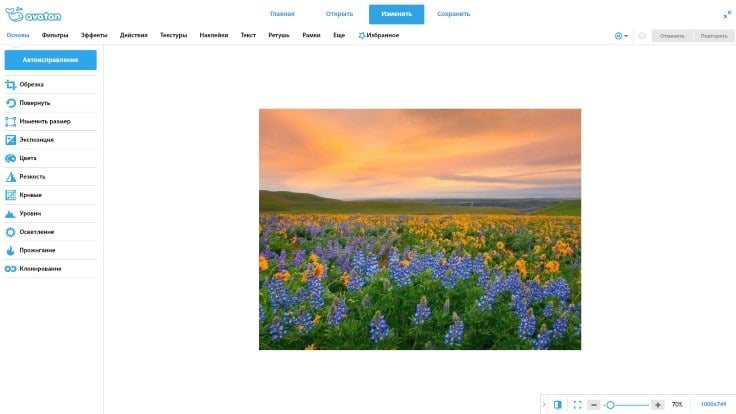 10 лучших сервисов для обработки фото онлайн фото