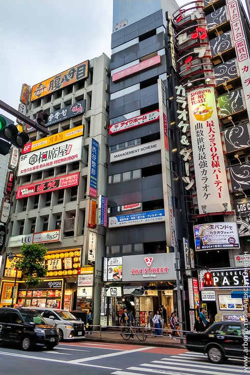 10 фактов о Японии, которые вы не знали фото