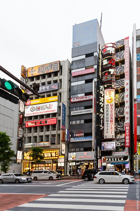 10 фактов о Японии, которые вы не знали фото