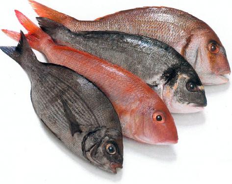 Самая костлявая рыба в мире - интересные факты и особенности