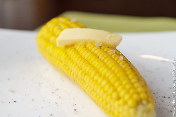 Простой и быстрый способ готовки кукурузы в початках в микроволновке