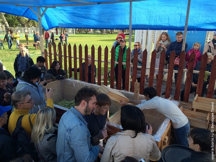Тбилисоба в Москве рецепт с фото