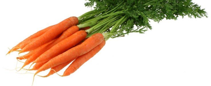 Морковь рецепты