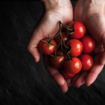 10 интересных фактов о помидорах