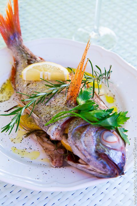 Вкусные рецепты блюд из рыбы речной: идеи и советы